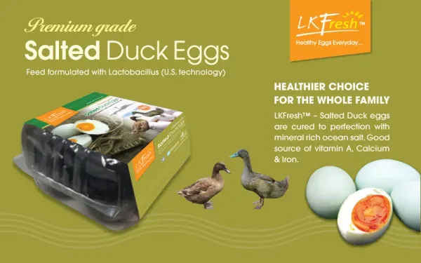 Salted Duck Egg from 말레이시아 supplied by LTKM Berhad - In Shell 오리알
