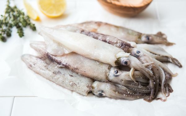 Frozen Squid from United States supplied by Silver Bay Seafood - Whole Frozen Squid