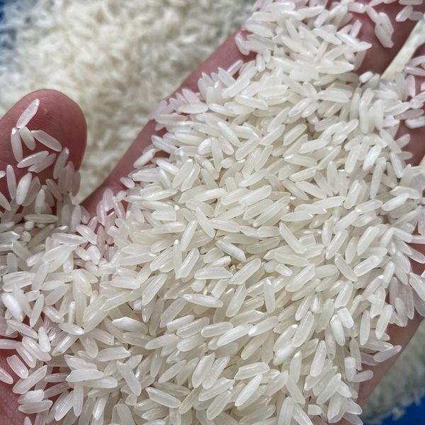 Jasmine Rice OM5451 Wholesale Fragrant Rice Bulk Price High Benefits Using For Food HALAL BRCGS HACCP ISO 22000 Certificate from 베트남 supplied by Reconnect International Limited Company - 식품용 쌀
