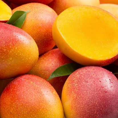 Mango from 케냐 supplied by Emmanuel Horticulture Ltd. - Whole 신선 망고