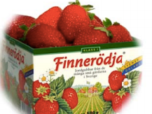 Frozen Strawberry from 스웨덴 supplied by OLLE SVENSSON AB - Malwina 신선 딸기