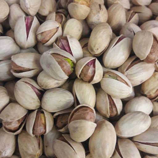Fandoghi Pestachio from 이란 supplied by TIDA SILK ROAD TRADING CO - High Quality 피스타치오 알맹이