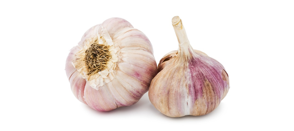 Garlic from 이집트 supplied by Egypt Garden - As per customer's request 냉동 채소 믹스