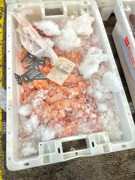 Cod Roe from United Kingdom supplied by Scrabster Seafoods - Skinless (=Skin Off) Frozen Cod