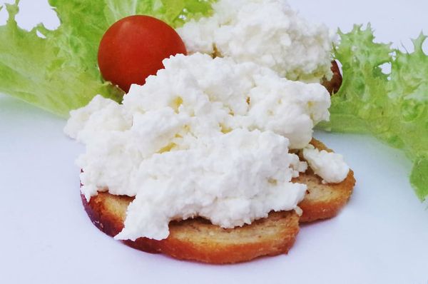 curd from Poland supplied by Spółdzielnia Mleczarska Bieluch - Curd Other Cheese