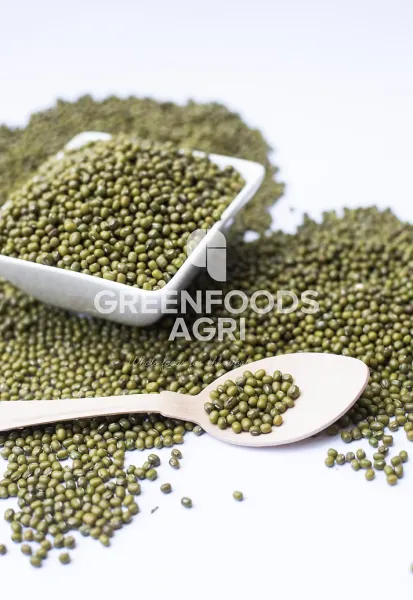 Mung Bean from 케냐 supplied by GREENFOODS AGRI PROCESSING INDUSTRIES LIMITED - Dried (=Dehydrated) 말린 녹두