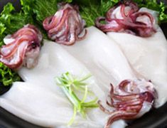 Squid from United States supplied by Keysource Foods, LLC - Fresh (=Chilled=Raw) Frozen Squid