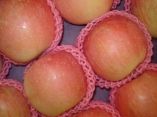 Apple from 중국 supplied by Jinxiang Infarm Fruits & Vegetables Co., Ltd. - Fuji 신선 사과