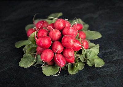 Radish from Germany supplied by Bördegarten - Sachsen GmbH - Whole Radish