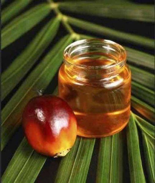palm oil from India supplied by GUJARAT AMBUJA EXPORTS LTD - Refined RBD Palm Oil