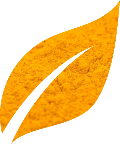 TURMERIC POWDER from India supplied by M.Lakhamsi & Co. - Shelled (=Kernel) Turmeric