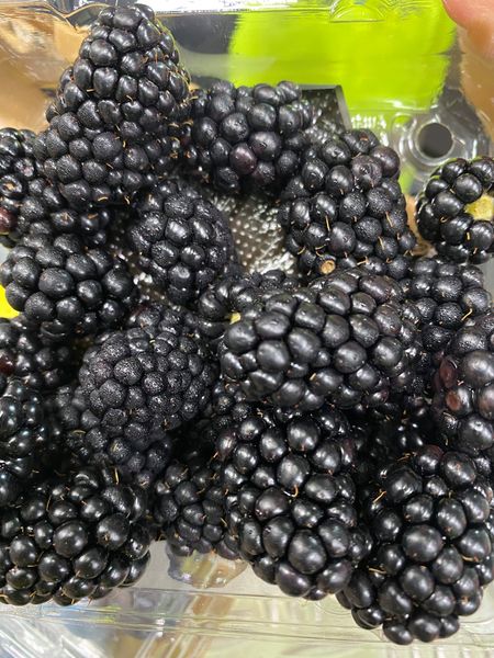 Blackberry from 호주 supplied by Efresh Pty Ltd - Black 신선 블랙베리