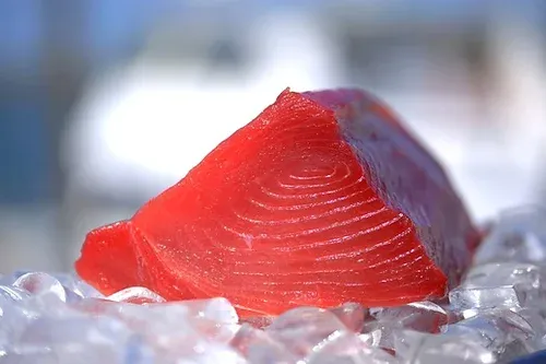 Yellowfin Tuna from 미국 supplied by Giovanni's Fish Market and Galley - Bluefin group - Bigeye Tuna (=Thunnus obesus) 참치