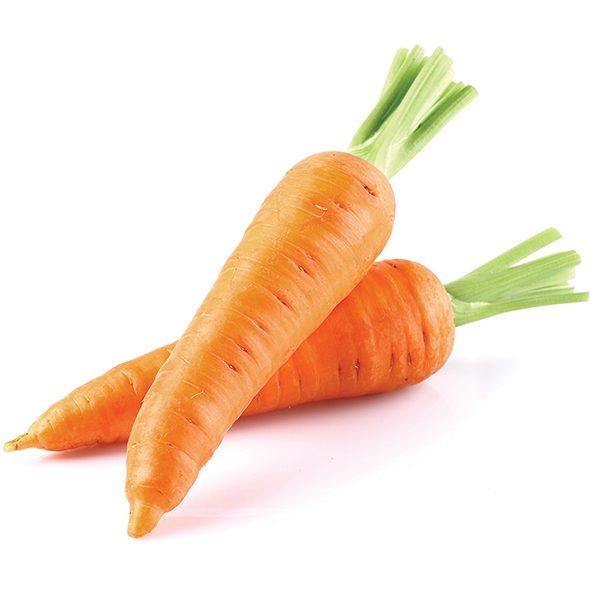 Carrot from 영국 supplied by Nationwide Produce PLC - Whole 신선 당근