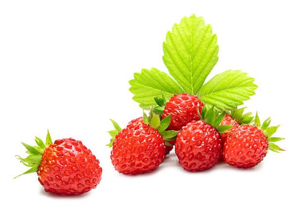 Wild Strawberry from 우크라이나 supplied by Liga Agro APC - Whole 신선 딸기
