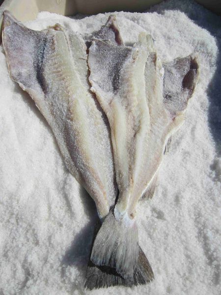 Cod from Iceland supplied by Hafnarnes Ver - Atlantic Cod (=Gadus morhua) Frozen Cod