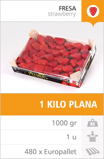Strawberry from 스페인 supplied by Agro Martin SL - 750gr Plastic Tray 신선 딸기