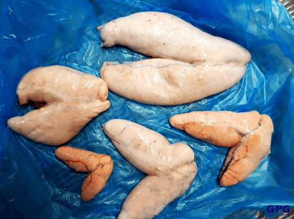 Frozen Haddock Roe from Iceland supplied by GPG Seafood - Unspecified Frozen Haddock