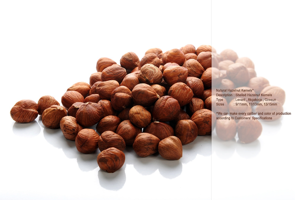 In Shell Hazelnuts from Turkiye supplied by IDEAL Tedarik Tarim Urunleri San. ve Tic. Ltd. Sti. - In-shell Hazelnut Kernel
