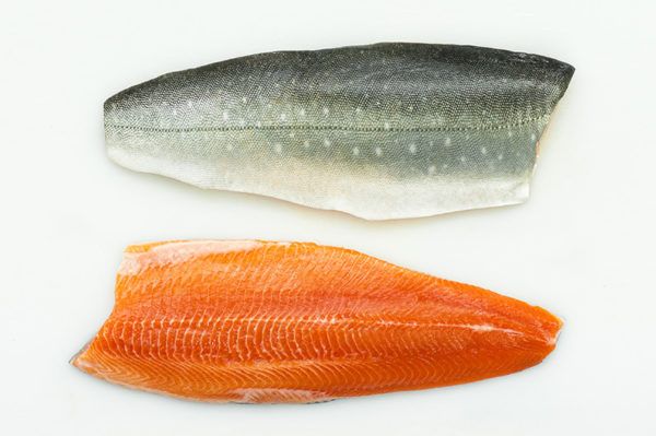 Fresh Arctic Char from 미국 supplied by Slade Gorton & Company Inc. - Fresh (=Chilled=Raw) 냉동 북극 곤들매기