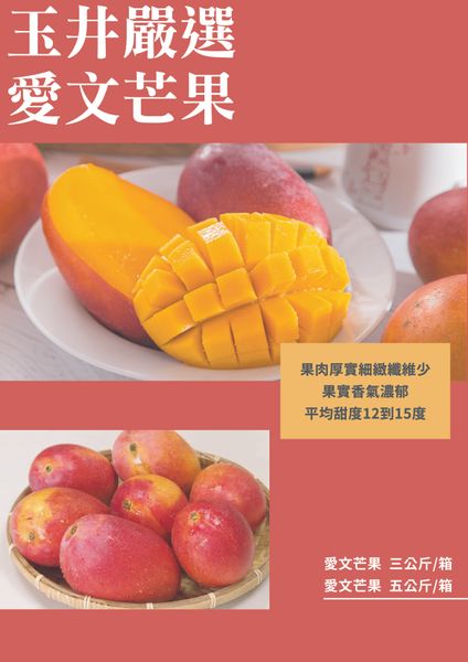 Ai-Wen Mango from 대만 supplied by Tama Shokunin - High Quality 신선 망고