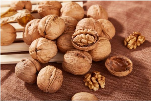 Whole Walnut from 스페인 supplied by FRUTOS DE VETTONIA S.L. - In-shell 생호두
