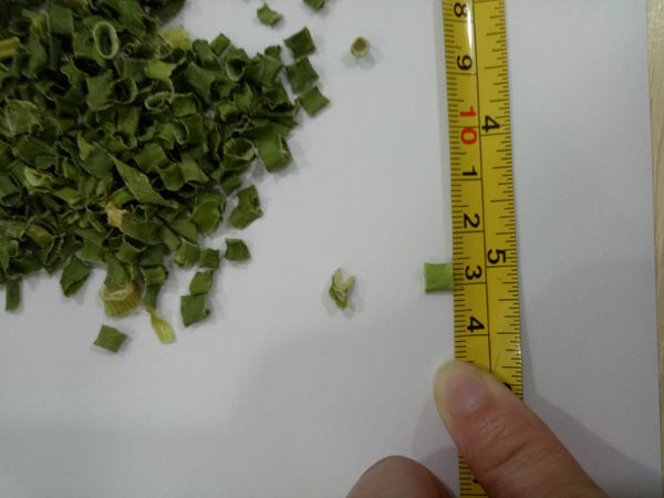Dried Green Onion +84339018083 WS from 베트남 supplied by 99 Gold Data Processing Trading Company Limited - Carton Box (=Cardboard Box) 신선 양파