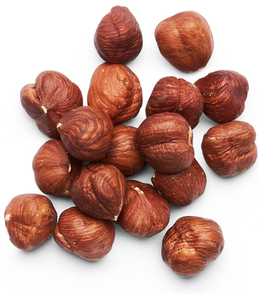 Hazelnut from 폴란드 supplied by Flavor Factory Sp. z o.o. - Whole 헤이즐넛 알맹이