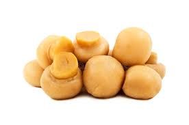 Canned Champignon from 스페인 supplied by Vegagel, S.L. - Champignon Mushroom (=White Mushroom=Button Mushroom=Agaricus bisporus) 버섯 가공품