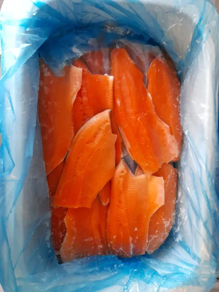 Frozen bland char fillets from Iceland supplied by Fiskeldid Haukamýri -Farm - Skinless (=Without Skin) Salmon