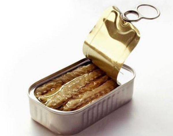 Canned Sardine from Philippines supplied by Century Pacific Food, Inc. - Value Added Sardine