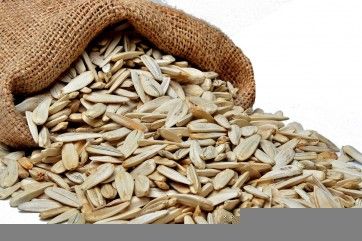 Sunflower Seed from 튀르키예 supplied by Karakaya Kuruyemis - Unhulled 해바라기 씨