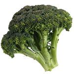 Broccoli from 스페인 supplied by Frutas Peyfi SL - Green 신선 브로콜리 꽃