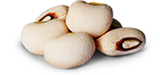 Jumbo Browneye Bean from 브라질 supplied by Coperaguas Cooperativa Agroindustrial - Jumbo Brown Eyed 말린 동부
