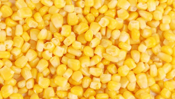 Sweet Corn Kernel from 인도 supplied by Swadhika Foods - Frozen - IQF (=Individual Quick Freezing) 옥수수