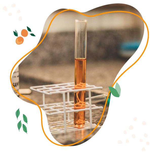 RIPE ORANGE ESSENTIAL OIL from Brazil supplied by Ecocitrus - Essential Oil Orange Oil
