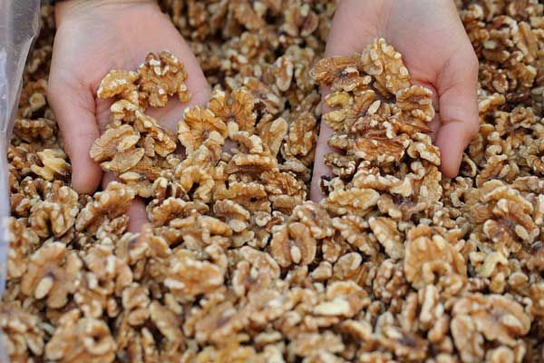 Walnut from United States supplied by California Walnut Company - Fresh Raw Walnut