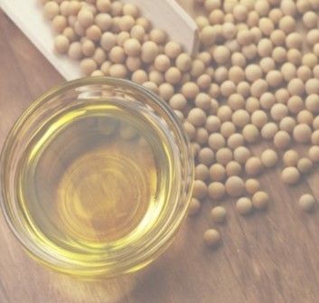 Soyabean Seed from 파키스탄 supplied by Bombi's Group - 표준 대두