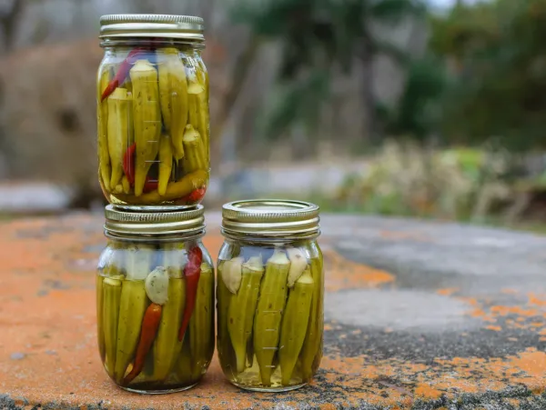 Okra Pickles from 영국 supplied by Talk O'Texas Brands Inc - Jar 오크라 가공품