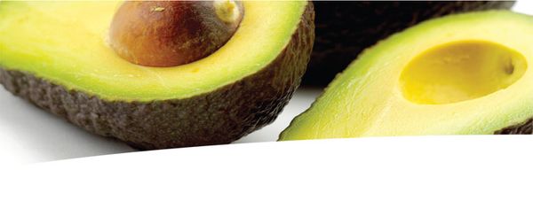 Avocado from South Africa supplied by Joburg Market (Pty) Ltd - Whole Fresh Avocado