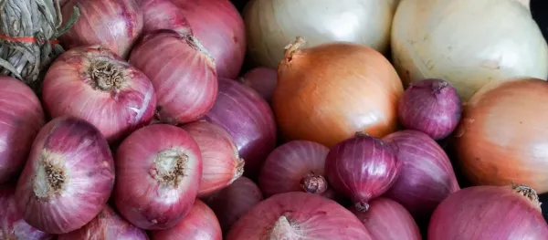 Red Onion from 태국 supplied by RUNGRUENG AGRI FOOD CO., LTD. - Red 신선 양파
