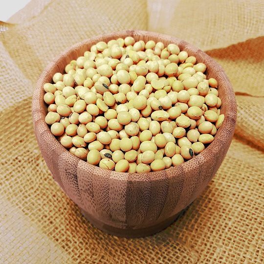 Soybean from 오스트리아 supplied by BAG Ölmühle Betriebs GmbH - Raw (=Natural) 대두