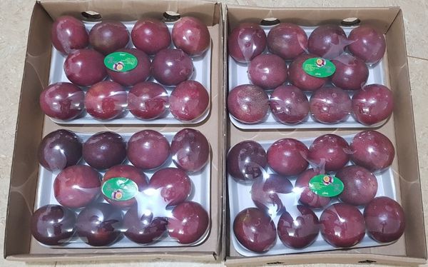 Passion fruit from 베트남 supplied by Xaxa Service Trading Company Limited - Whole 신선 패션프루트