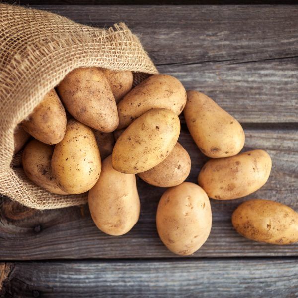 Potato from Sri Lanka supplied by Anbu Group - Whole Fresh Common Potato