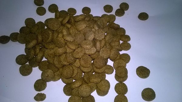 DRY PET FOOD from 이탈리아 supplied by Meridiana Agri - 옥수수글루텐피드