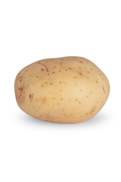 Potato from 폴란드 supplied by HZPC Polska Sp. z.o.o. - 갈색 신선 일반 감자