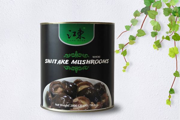 Canned Shiitake Mushroom from 중국 supplied by Longhai Guangfa Food Co., Ltd. - Can 통조림 또는 병에 든 버섯