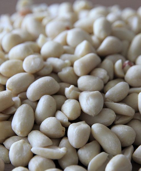 Blanched Peanut from 인도네시아 supplied by PT. Sinar Inti Pangan - Blanched 땅콩 알맹이