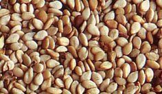 Sesame Seed from Myanmar [Burma] supplied by New Golden Gate (1991) Co., Ltd - Dried Sesame Seed