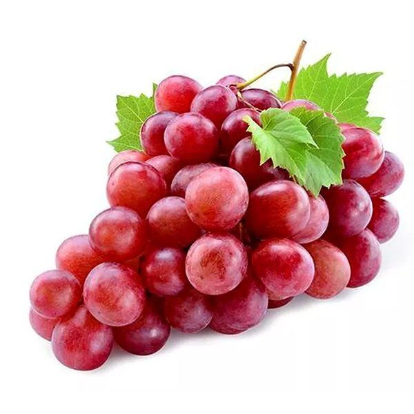 Grape from Peru supplied by Agro Exportaciones Grace Sac - Purple Fresh Grape